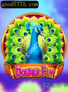 Explorando DoubleFly: Um Guia Completo para Novos Jogadores